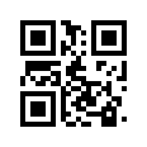 QR Moto 19