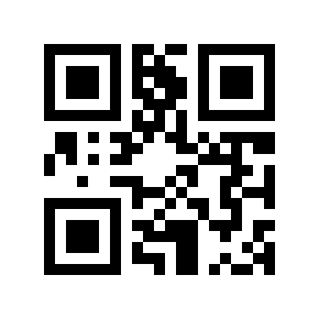 QR Moto 32